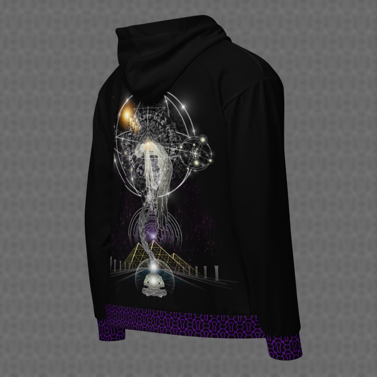 Conscendo Animus | Psychedelic Visionary Art Unisex Graphic Hoodie