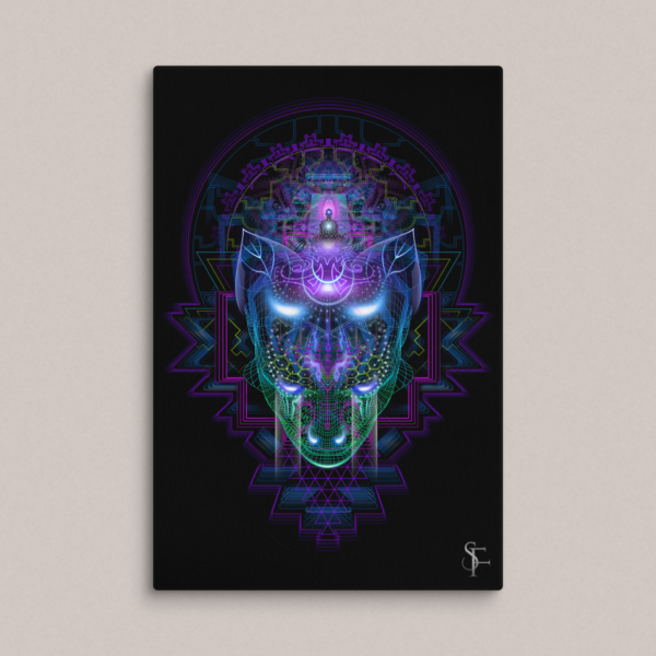 Shamanic Medicine Giclee Canvas Print