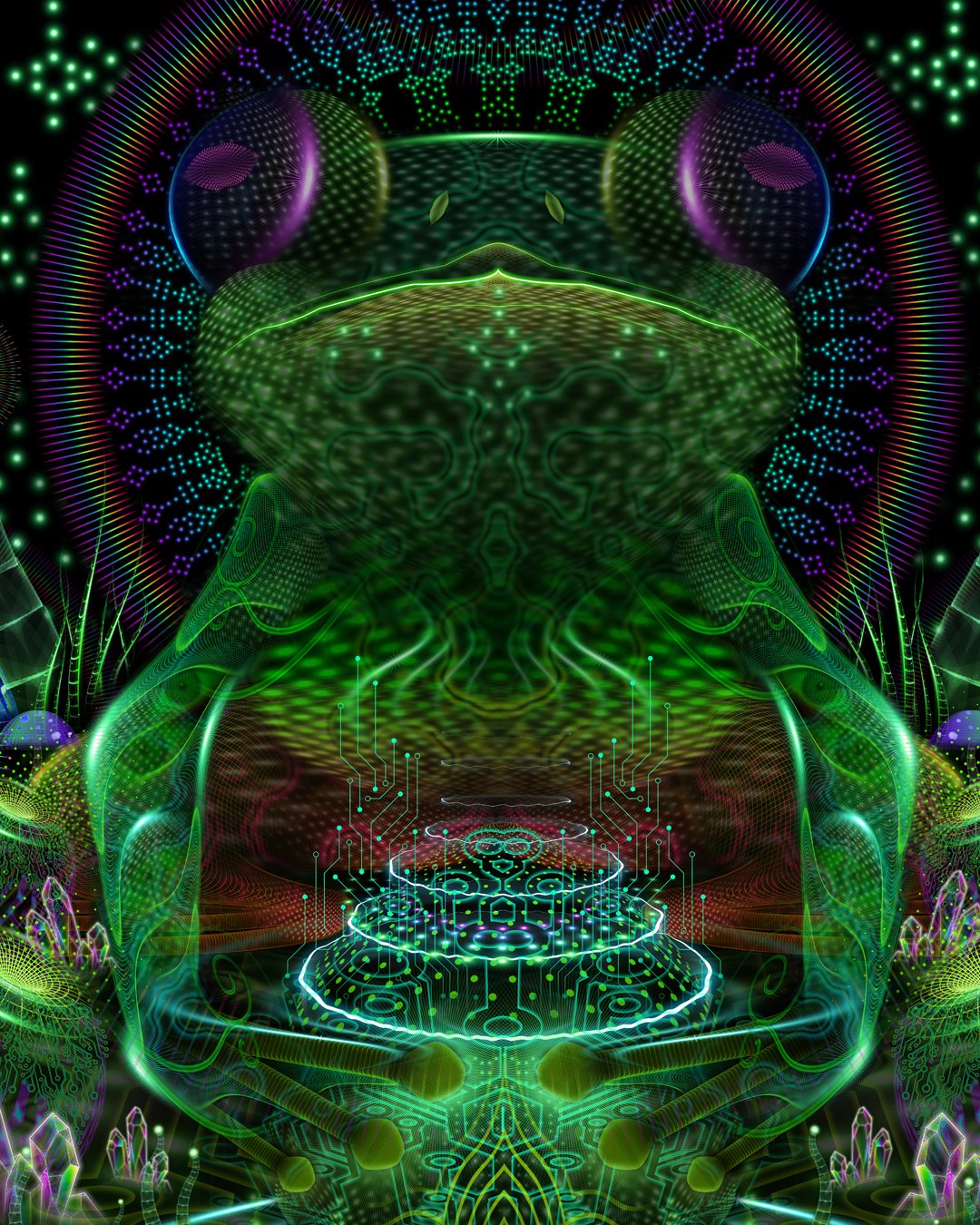 Amphlified | Archival Fine Art Print - Image 2