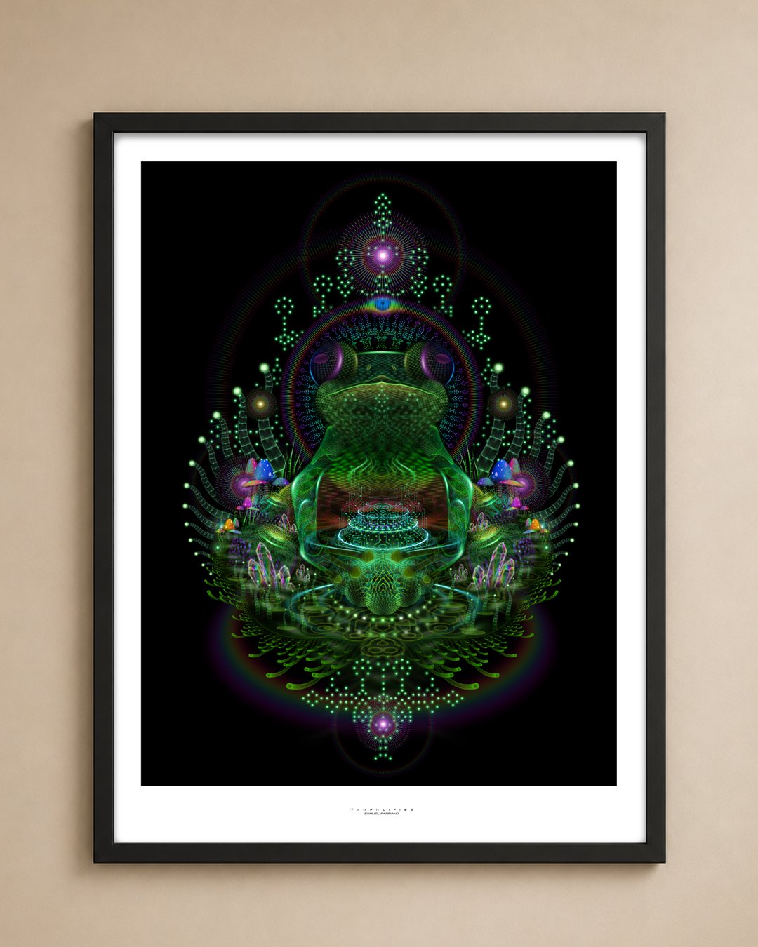 Amphlified | Archival Fine Art Print