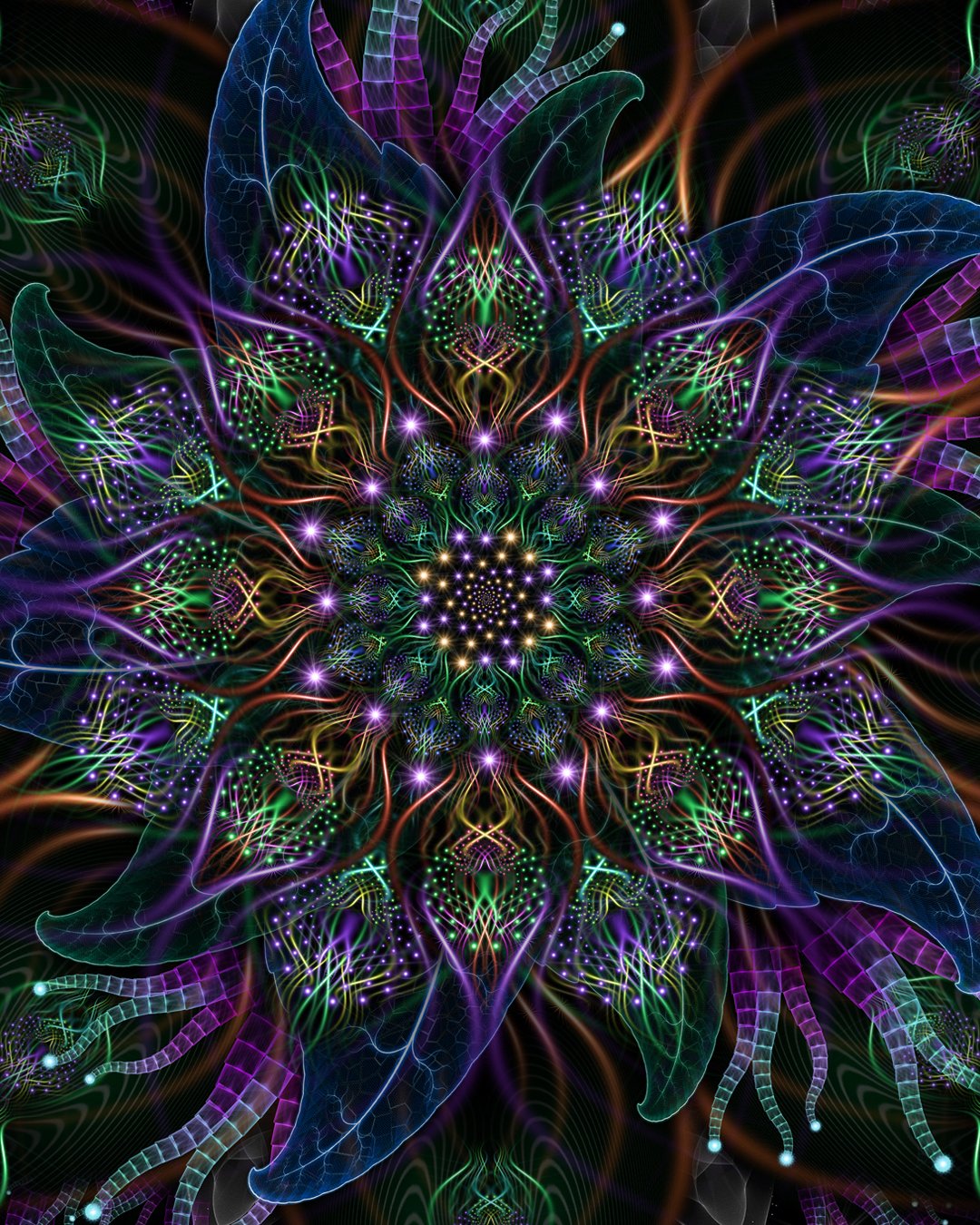 Neonemone | Archival Fine Art Print - Image 2