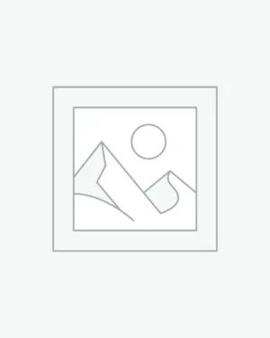 Uncategorized